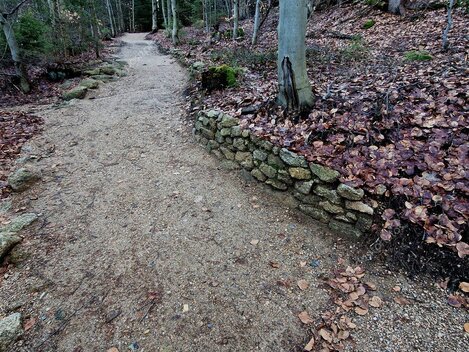 Ciclista su sterrato durante allenamento gravel